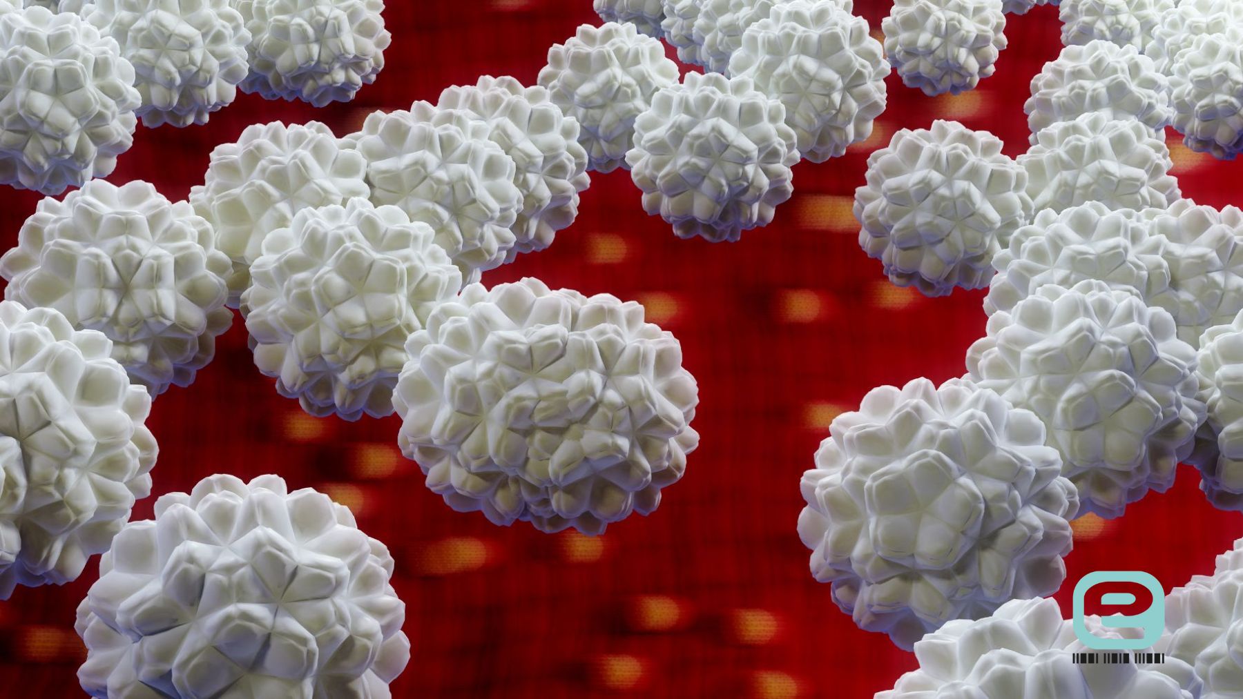 Chlamydia pneumoniae