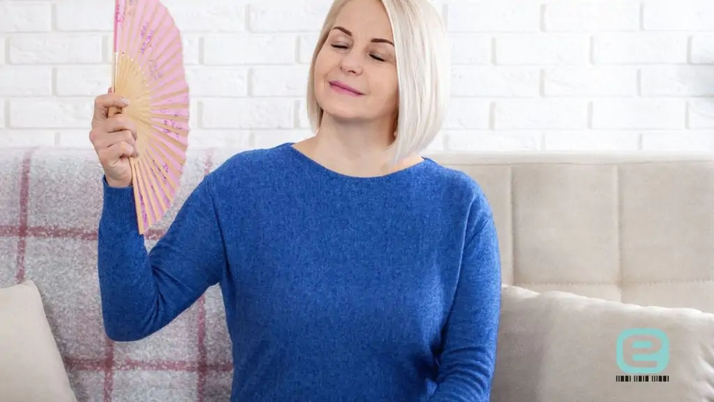 Perimenopauza