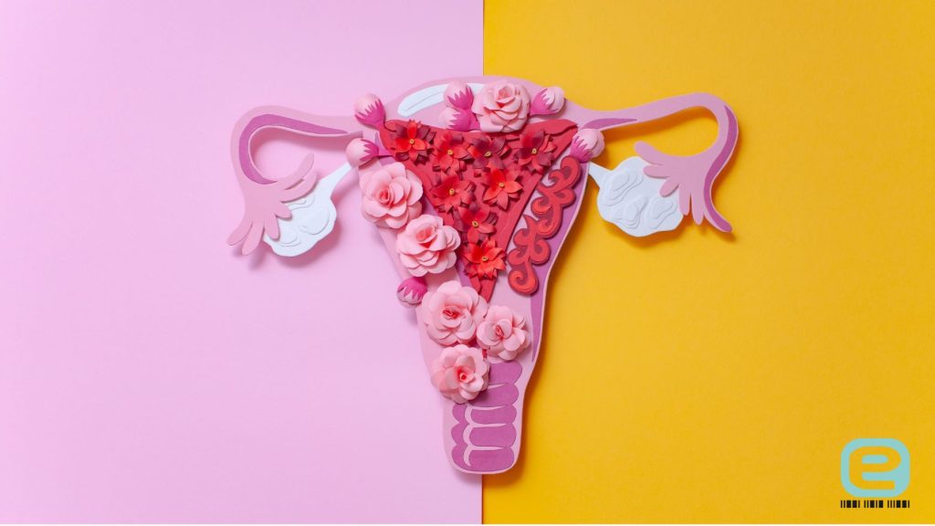 Endometrium