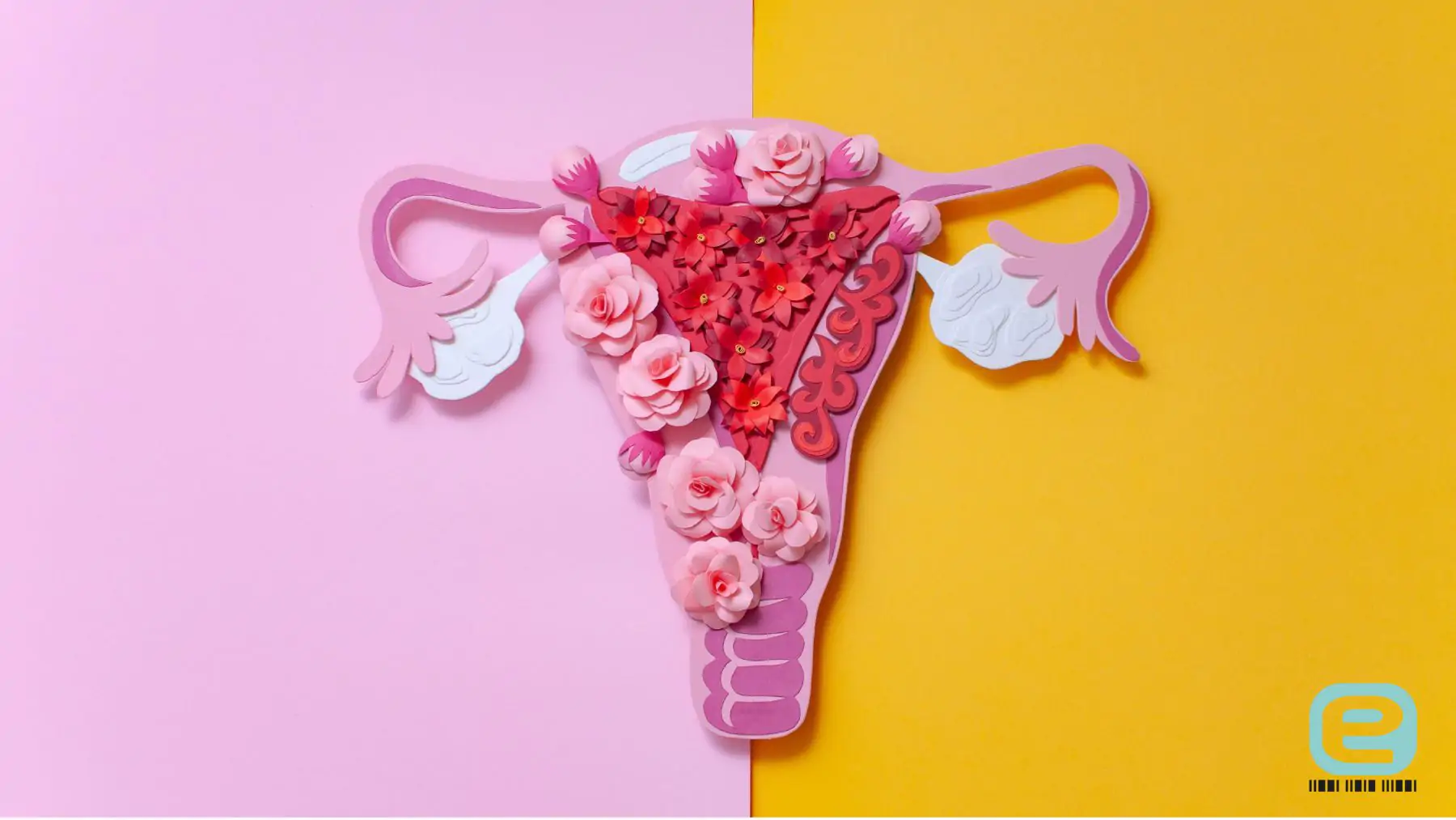 Endometrium