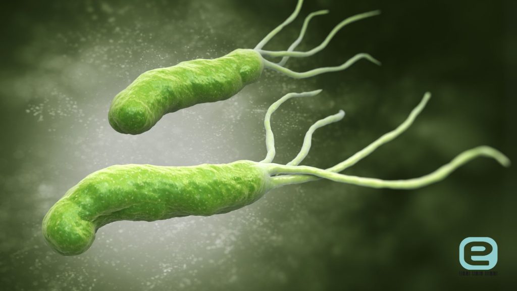 Helicobacter pylori (H.pylori)