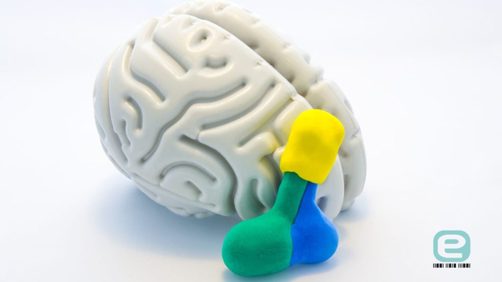 Choroby przysadki mózgowej