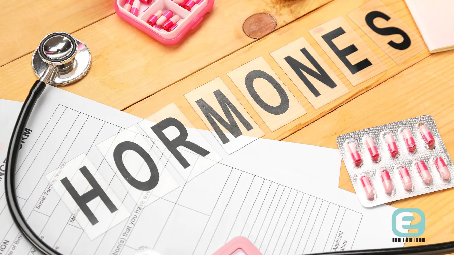 jak działa układ hormonalny