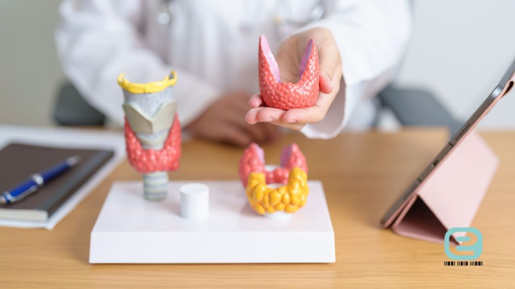 Nadczynność tarczycy a Hashimoto