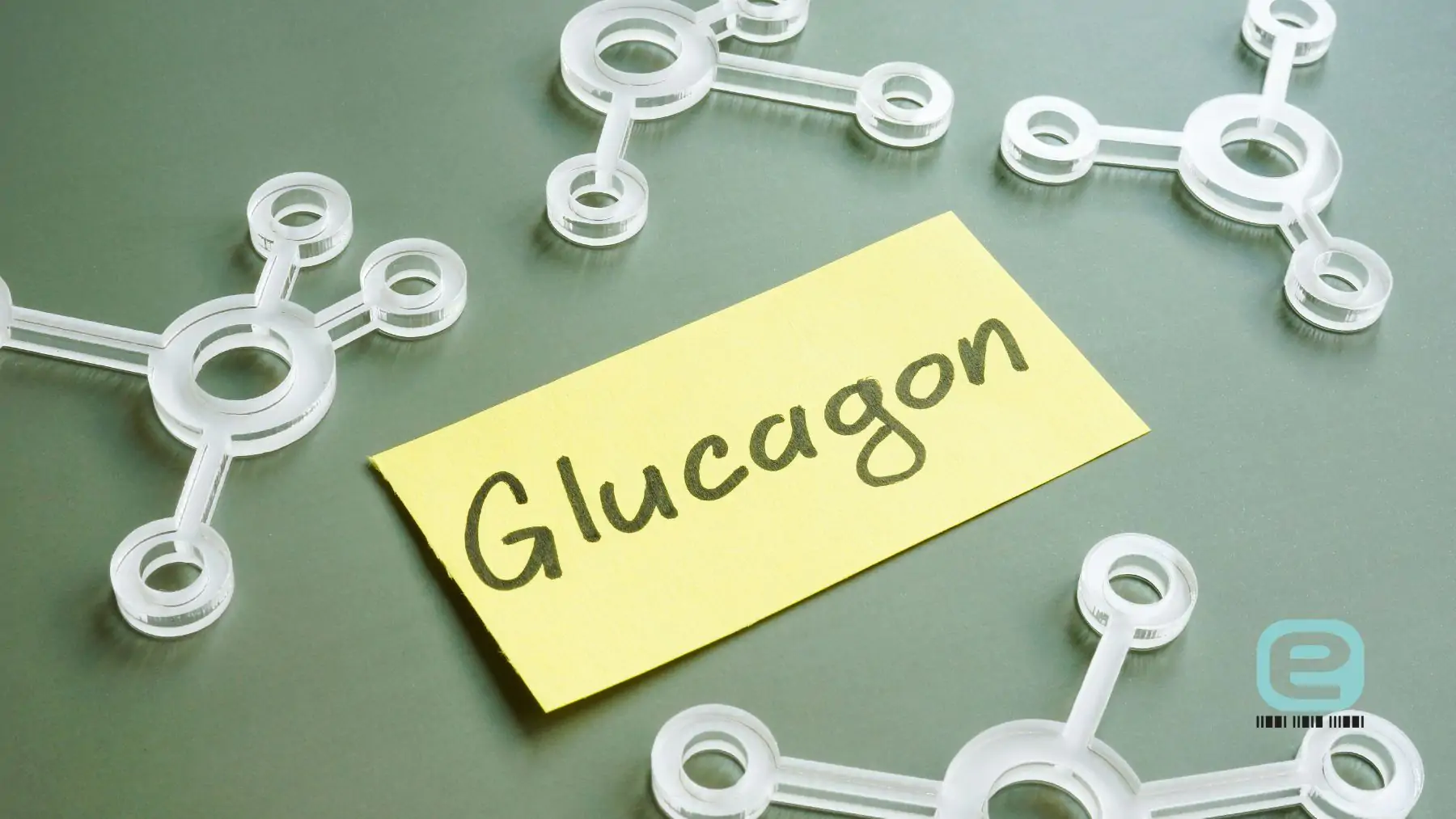 Glukagon