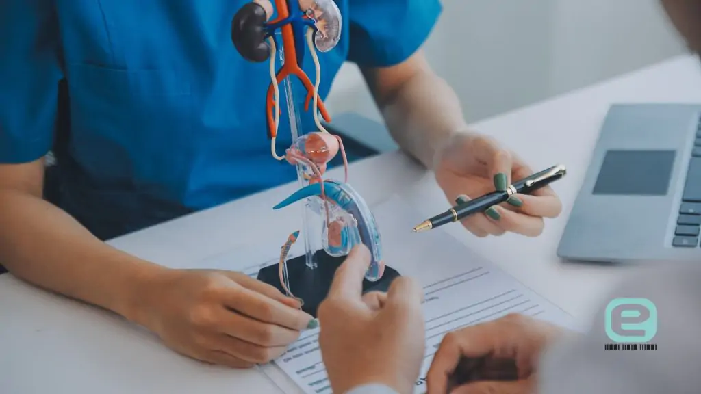 choroby układu moczowego