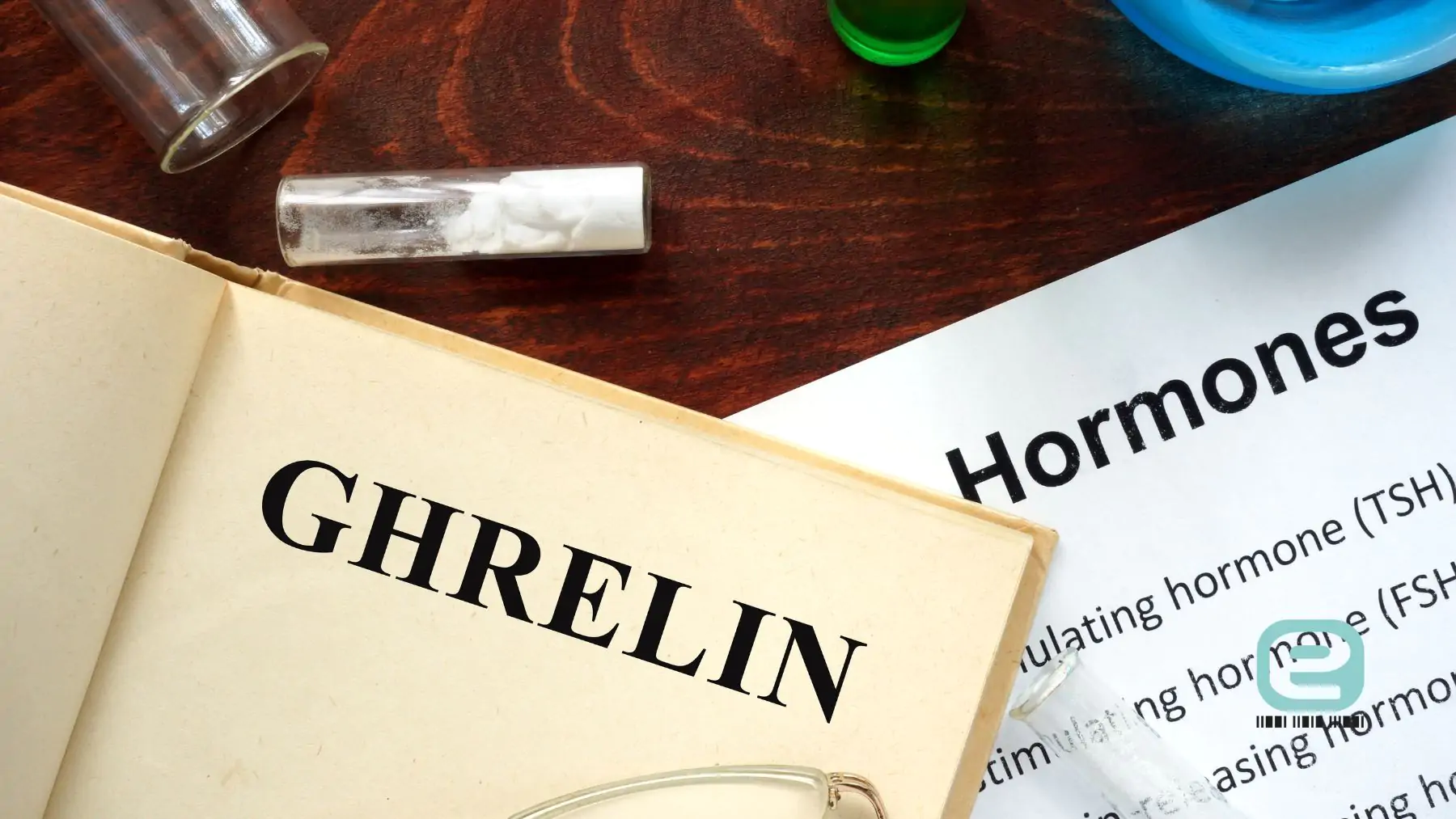 Grelina (hormon głodu)