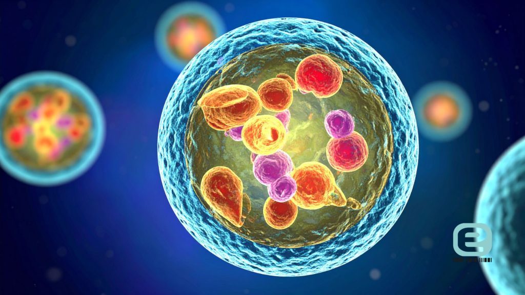 Leki na choroby pasożytnicze