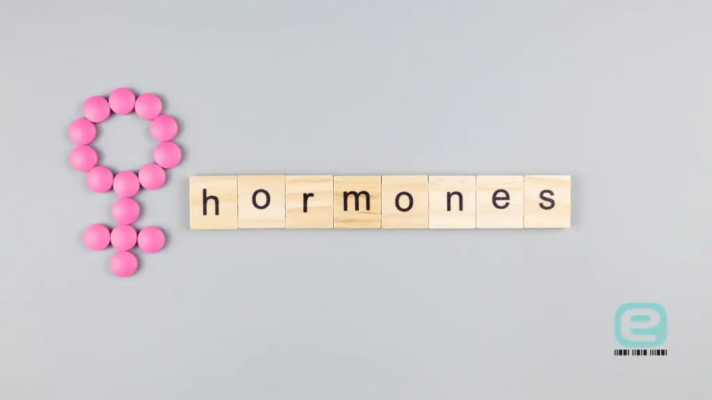 Nadwaga i otyłość a gospodarka hormonalna kobiet