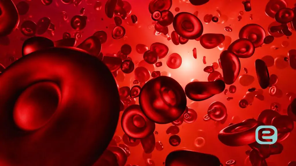 Immunosupresja
