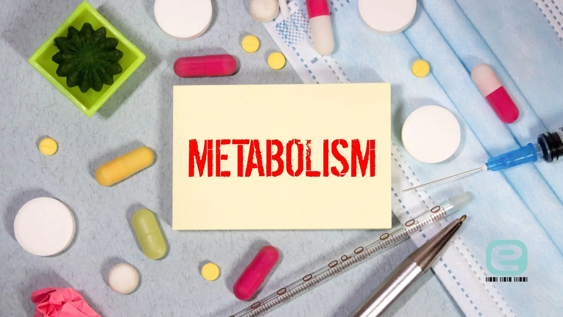 adaptacja metaboliczna